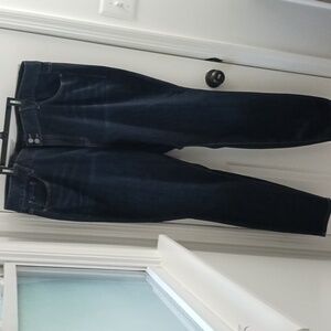 Lane Bryant Skinny Jeans (Long)